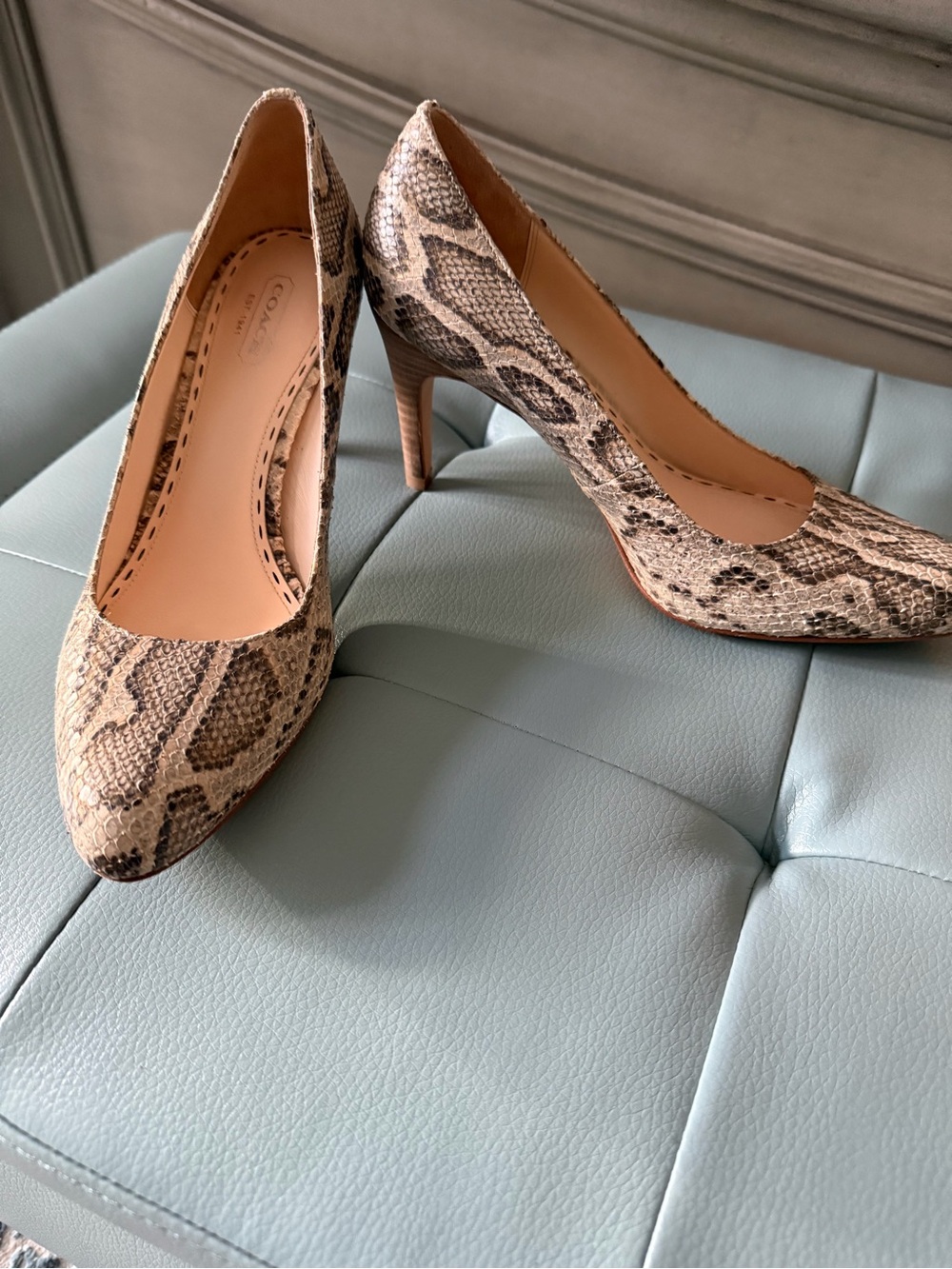 Coach Snake-Print Pointed Toe Pumps in Cream and Brown - 9 B